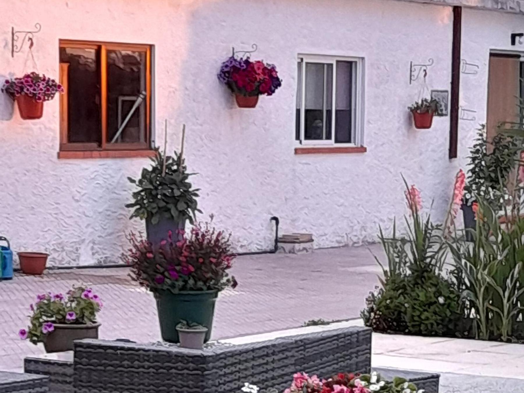 Casa Calado Villa Cadima Exteriör bild